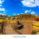 대청호 자연수변공원 이미지