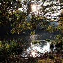 창의공예 이미지