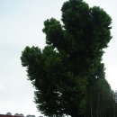 서울역사박물관 이미지