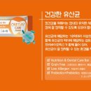 도기펫