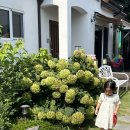 준요네집 | 춘천 펜션 ‘준요네집’ 독채펜션/아기랑 가기 너무 좋아요🤍