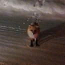 노천농장 이미지