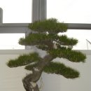 지지명품 이미지