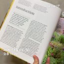 처음 도전 영어 원서 읽기(정원 8명)(수)10:30 | 영어 원서 완독 성공법은? BYS club과 함께하기!