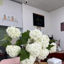 지에스25 대동단결점 이미지