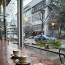 비바체안경 이미지