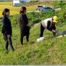 옛맛촌가든 이미지