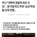 부산 &#34;대학에 경찰력 최초 진입&#34;...&#39;윤석열 퇴진 투표&#39; 농성 학생들 강제 연행... 이미지