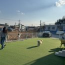 노블레스팬션 | 경주 애견동반 펜션추천 넓은 마당과 개별 바베큐 있는 노블리스펜션