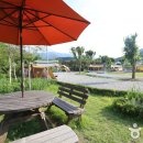 향기나라사랑이 이미지