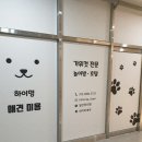하이멍 애견미용 이미지