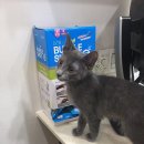 오라고동물병원 이미지