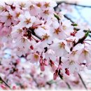 (주)삼양여행사 이미지