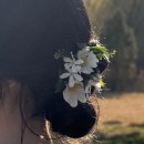 오자매 | W.06 서울야외스냅 사진찍는 오자매 웨딩스냅 C패키지 후기