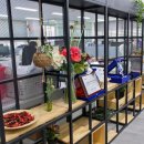 주식회사 케어핏 이미지