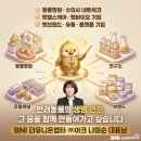 ㈜고려덴탈 이미지