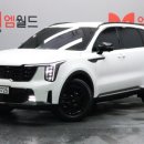 월드뉴모터스 | 대구 중고차 매매단지 엠월드 하니사의 출고후기 '더 뉴 쏘렌토 7인승 하이브리드'