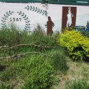 순천남초등학교 이미지