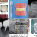 병아리소아치과의원 이미지