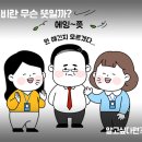어쩔라면