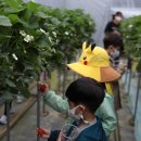 보미농장 이미지