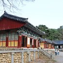 원진축산 Daum카페