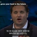 뉴설탕