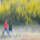 거창읍-28 이미지