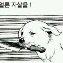 동네PC존 이미지