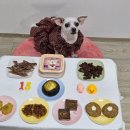 독구제과 이미지