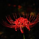 해송농장 이미지