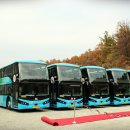 동백동다목적구장 네이버블로그