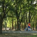 서울빌딩 이미지