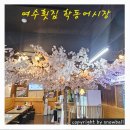 여천등기소 | [전남여수] 모듬회가 일품인 여수일식 맛집 &#34;학동어시장&#34;