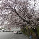 모현동-54 이미지