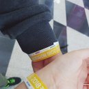 니드덴탈 | 2018 부산 케이펫페어 다녀왔어요~!