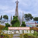 석호공원 | 속초 아이랑 청초호 유원지 야경 호수공원 놀거리 볼거리