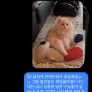 왈테이블 이미지