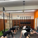 크로스핏 코알라 이미지