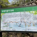 유평산방 | 경남/ 산청 대원사 계곡길 &amp; 유평산방(자칭 단골!!!🤣) ❌광고 ⭕️친구돈친구산 찐 후기~🎉