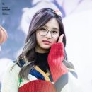 조안경