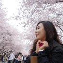 경화어시장 이미지