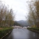 후쿠이 5 - 대나무 마을 에치젠타케닌교노사토에 가다! 이미지