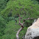 도마치계곡 이미지