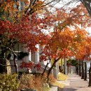 부여읍사무소 이미지