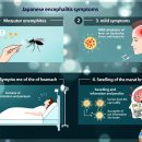 유수지 감시 이미지