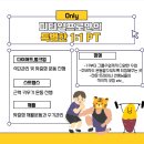 피티일프로 이미지