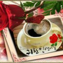 시절 인연 이미지