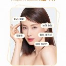 아비쥬의원범계