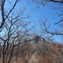 쌀바위 | 1031)쌀바위 (경북 경주시~울산시 울주군) 낙동정맥11(와항재~배내고개)